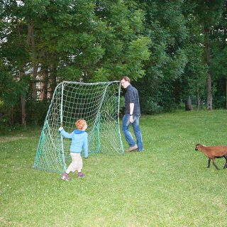 Fussball spielen mit einem Schaf