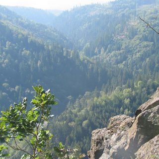 Blick ins Höllental